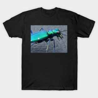 Six Spotted Tiger Beetle Close Up T-Shirt